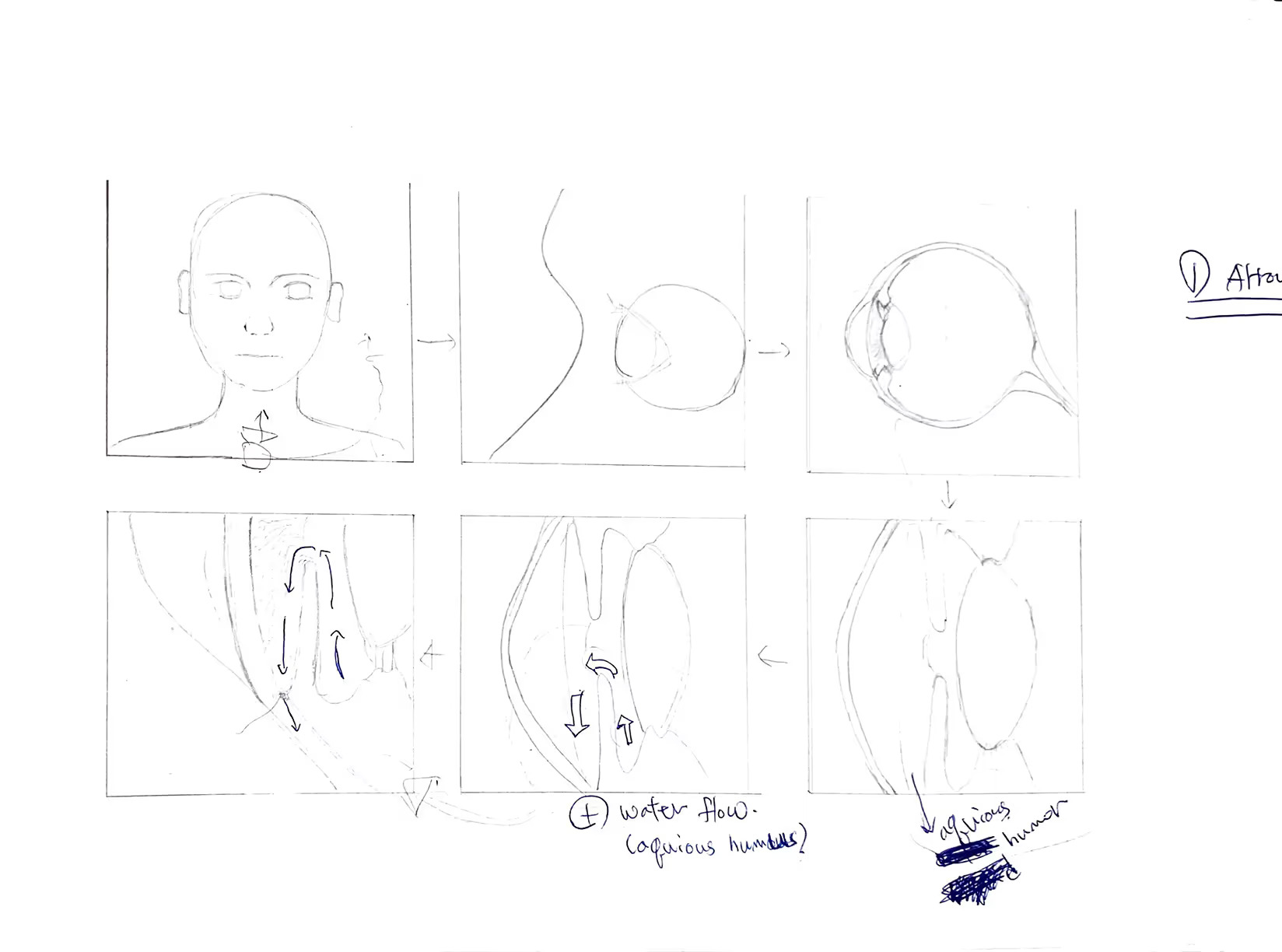 Storyboard 01